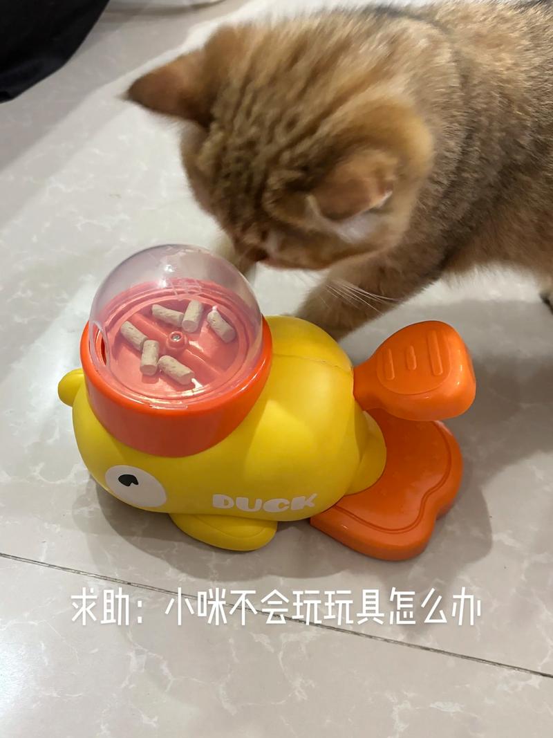 宠物用品行业的最新趋势