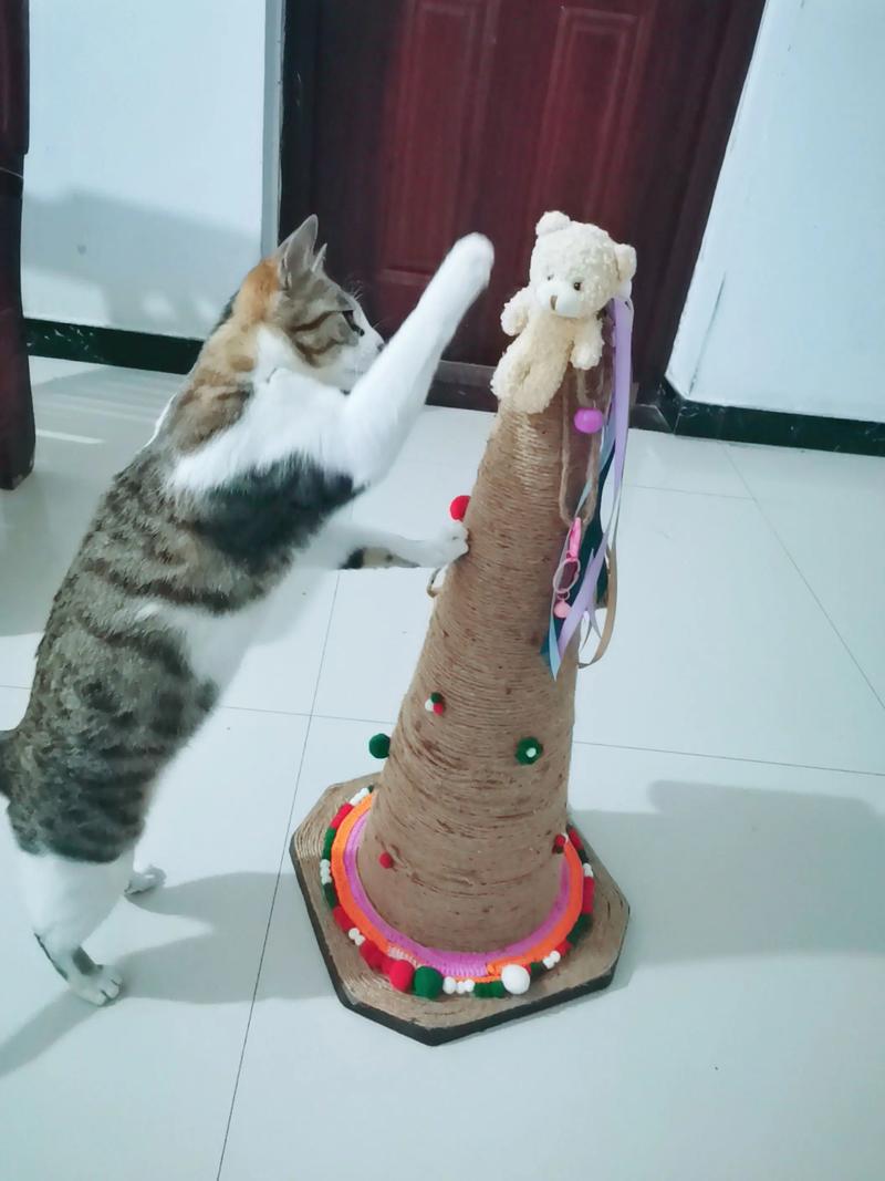 猫毛线球：快乐与成长的奇妙之旅