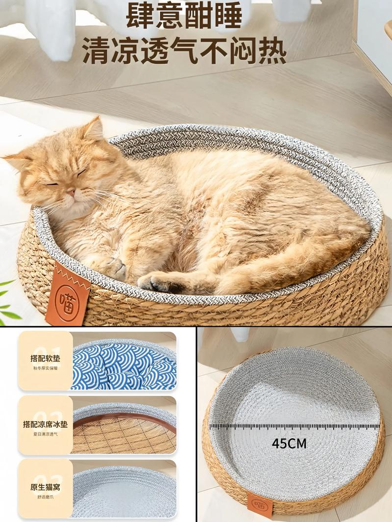 宠物玩具：爱宠的快乐新伙伴