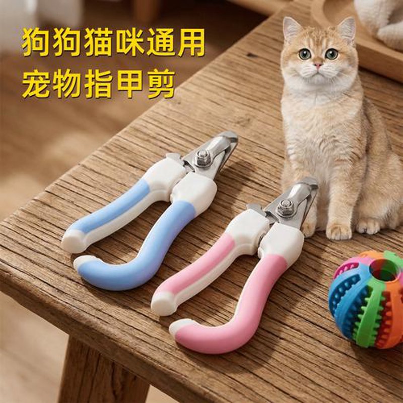 上海宠物用品