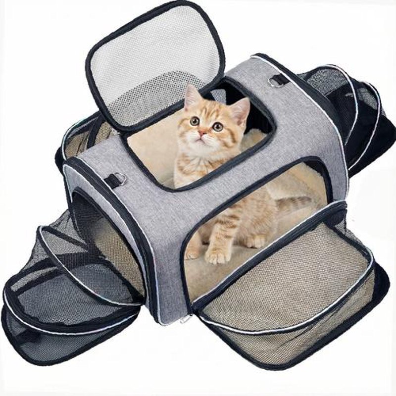 宠物日常用品